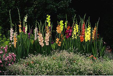 《小小梦魇3》预购宣传片 尽你们所能活下来！